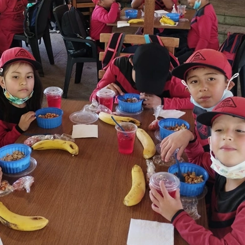 estudiantes-escolar